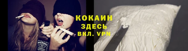 мет Болотное