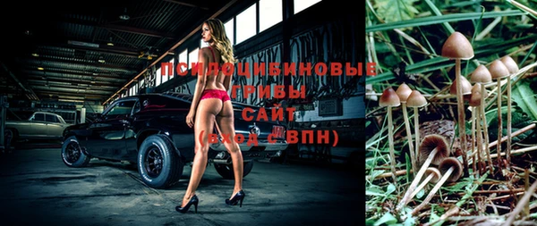 метадон Няндома