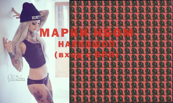 метадон Няндома