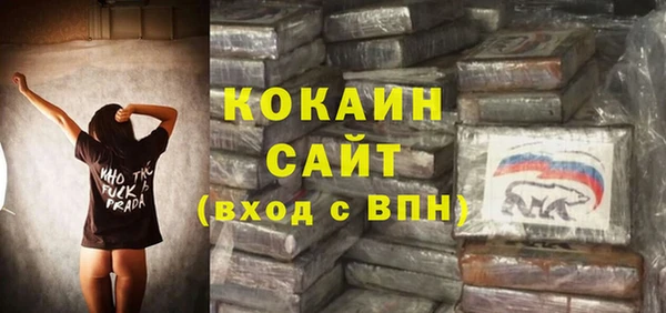 метадон Няндома