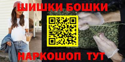 mdpv Гатчина