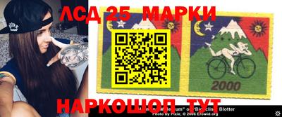 прущие крисы Берёзовский