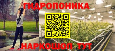 mdpv Гатчина