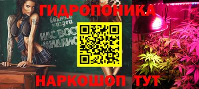mdpv Гатчина