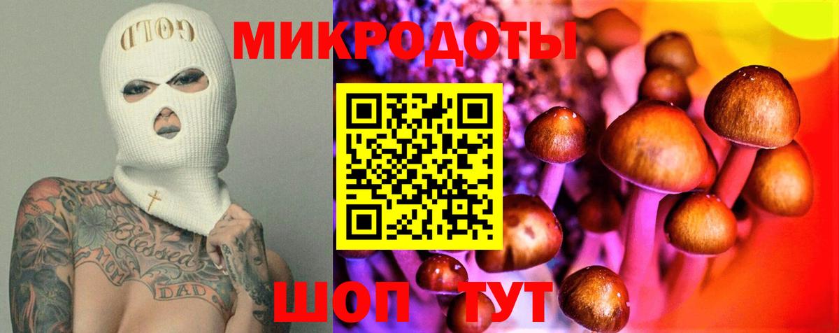 Псилоцибиновые грибы Psilocybe Зеленокумск